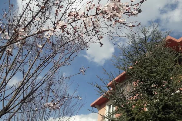 Özkan Sitesi - Resim 2