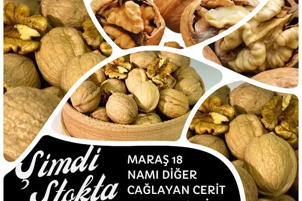 Heryere Kayısı Toptan Kayısı, Toptan Kuru Meyve ve Toptan Malatya Yöresel Ürünler - Resim 5