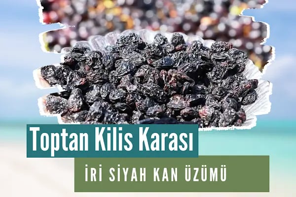 Heryere Kayısı Toptan Kayısı, Toptan Kuru Meyve ve Toptan Malatya Yöresel Ürünler - Resim 19