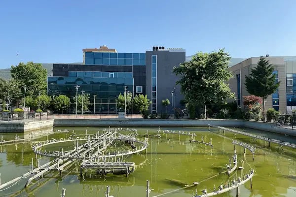 Gemlik Sosyal Yaşam Merkezi Olimpik Yüzme Havuzu - Resim 3