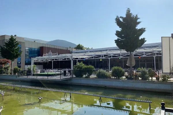 Gemlik Sosyal Yaşam Merkezi Olimpik Yüzme Havuzu - Resim 9
