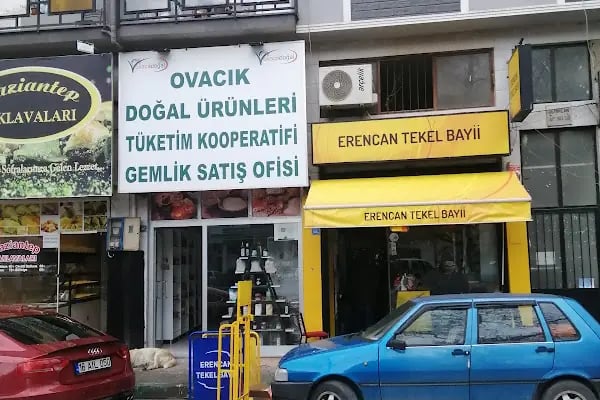 Gemlik Sosyal Yaşam Merkezi Olimpik Yüzme Havuzu - Resim 12