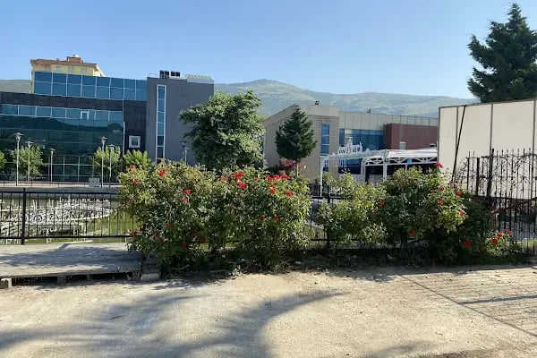 Gemlik Sosyal Yaşam Merkezi Olimpik Yüzme Havuzu - Resim 10