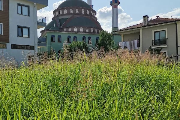 Yavuz Selim Cami - Resim 4