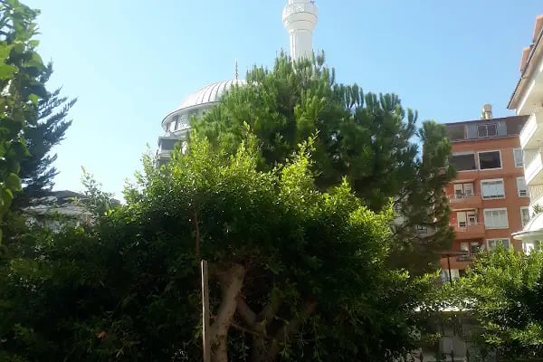 Hacı Memişler Cami - Resim 13