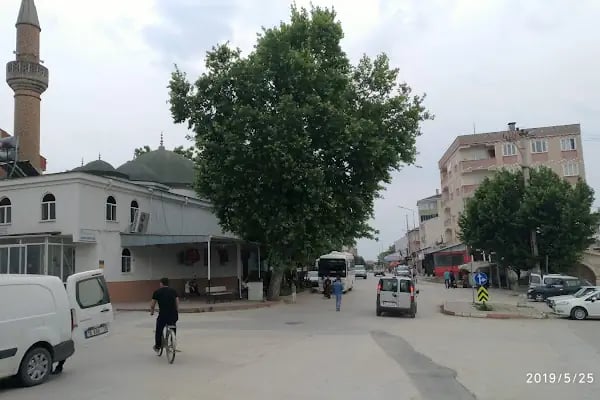 Alanyurt merkez camii - Resim 3