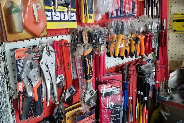 Tangut Ticaret - Resim 14