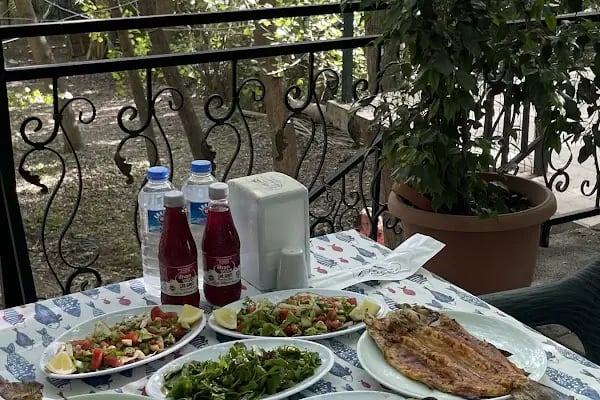 Davullupınar Ada Alabalık - Resim 3