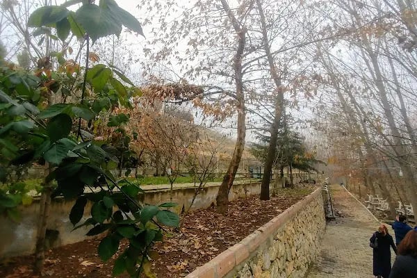 Davullupınar Ada Alabalık - Resim 15