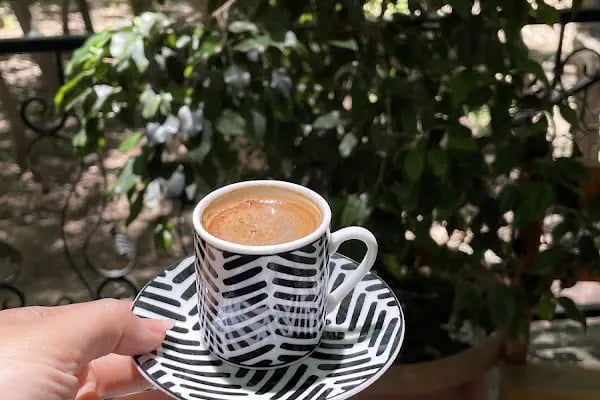 Davullupınar Ada Alabalık - Resim 17