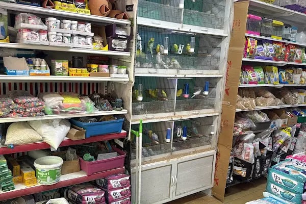 Ceren Petshop YENİKENT - Resim 17