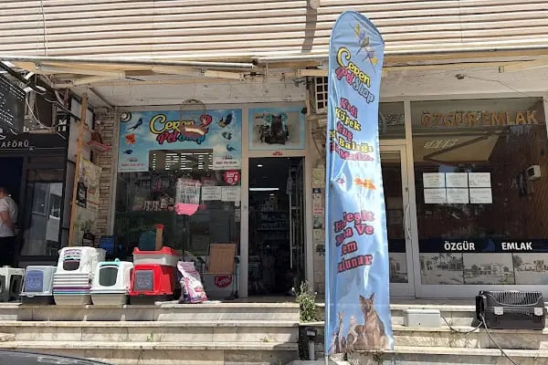 Ceren Petshop YENİKENT - Resim 12