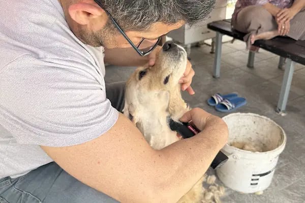 Ceren Petshop YENİKENT - Resim 16