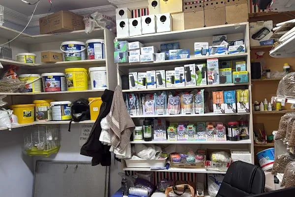 Ceren Petshop YENİKENT - Resim 14