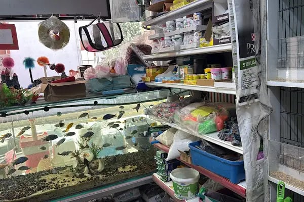 Ceren Petshop YENİKENT - Resim 5