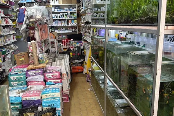 Ceren Petshop YENİKENT - Resim 8