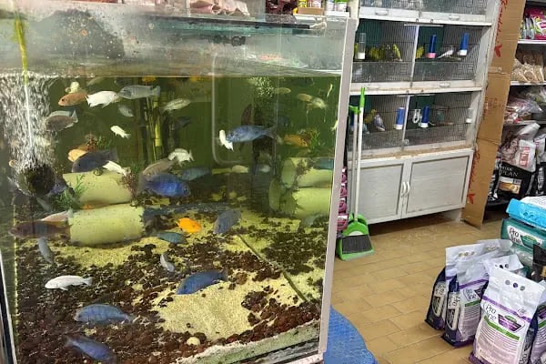 Ceren Petshop YENİKENT - Resim 3