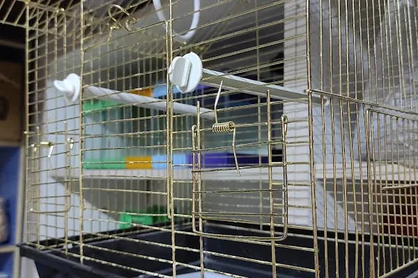 Ceren Petshop YENİKENT - Resim 13