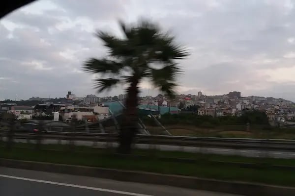 Paribu Cineverse Forum Trabzon - Resim 10