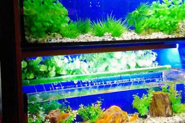 ÖZLEM PET SHOP &amp; AKVARYUM - Resim 2