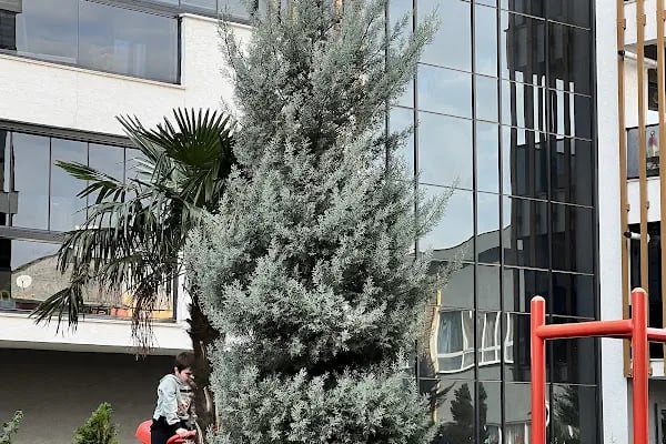Korupark Terrace &amp; Residence Evleri - Resim 7