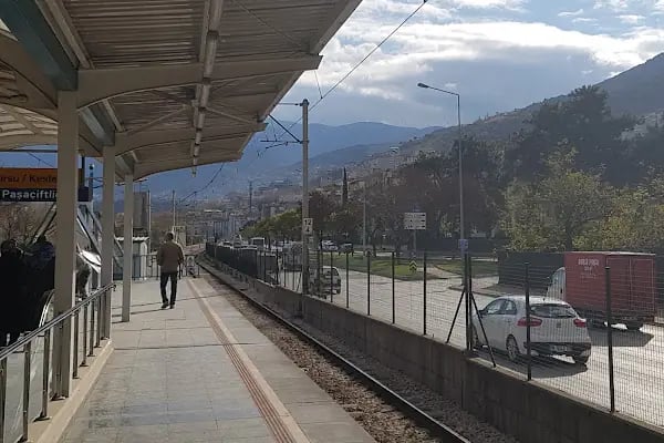 Paşa Çiftliği - Resim 3