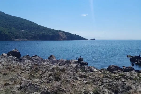 Hancy camp site - Resim 10