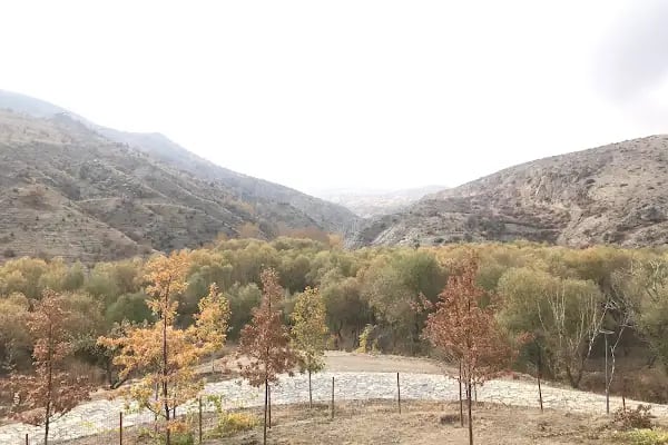 Tifake Sille izci Kamp Alani - Resim 16