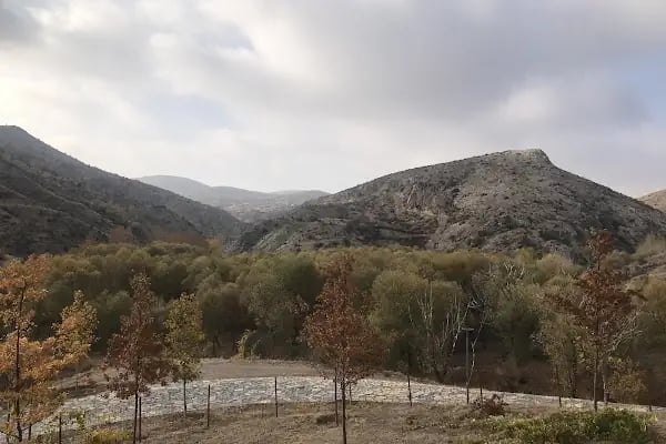 Tifake Sille izci Kamp Alani - Resim 2