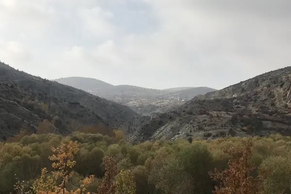Tifake Sille izci Kamp Alani - Resim 19