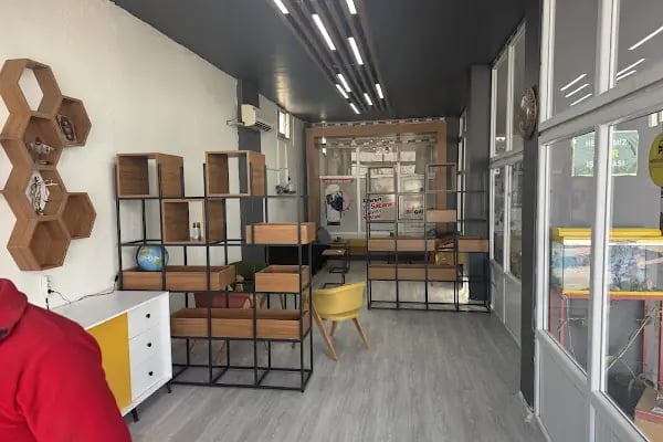 Pilot Garage Ceylanpınar Oto Ekspertiz ve Egzoz Emisyon Ölçüm İstasyonu - Resim 7