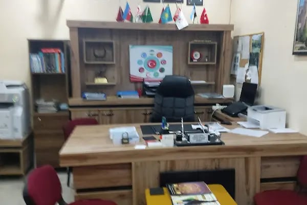 Pilot Garage Ceylanpınar Oto Ekspertiz ve Egzoz Emisyon Ölçüm İstasyonu - Resim 14