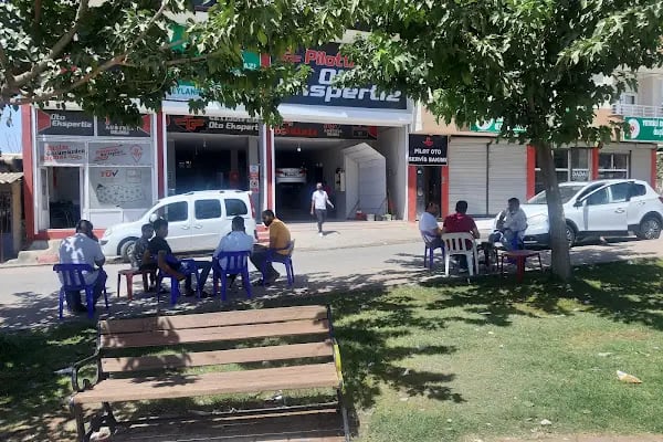 Pilot Garage Ceylanpınar Oto Ekspertiz ve Egzoz Emisyon Ölçüm İstasyonu - Resim 10