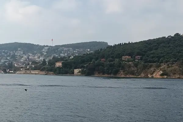 İdo Heybeliada Deniz Otobüsü İskelesi - Resim 15
