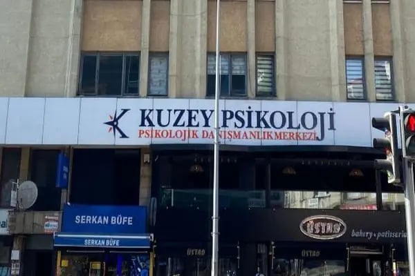 Psk. Faruk Alemdar, Psikoloji - Resim 6