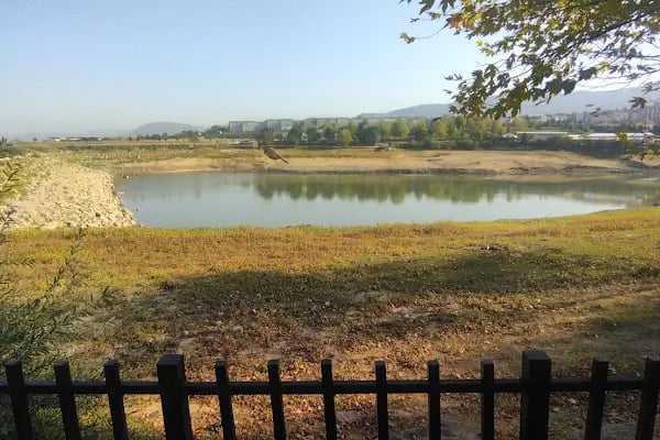 Yenice gölet - Resim 20