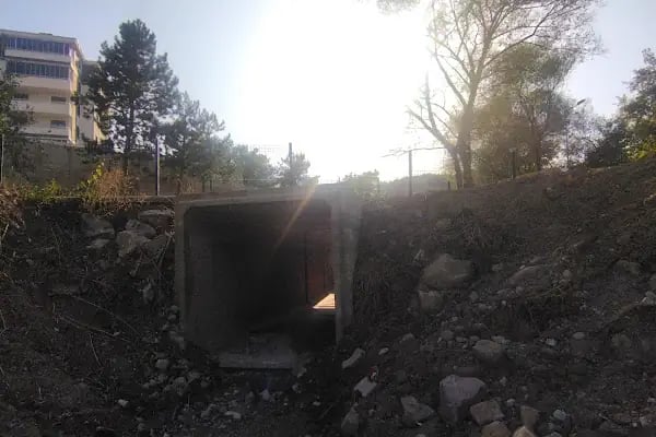 Yenice gölet - Resim 16