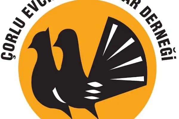 çorlu evcil kanatlılar derneği - Resim 4