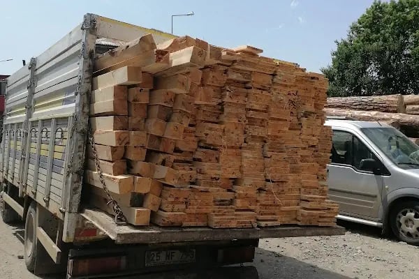 Seyfi mete orman ürünleri - Resim 4