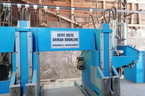 Seyfi mete orman ürünleri - Resim 9
