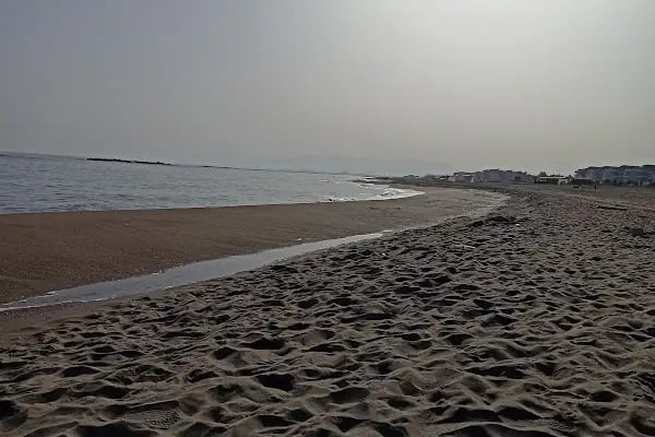 Longbeach - Resim 3