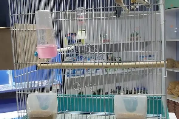 KARAPÜRÇEK PET MARKET PETSHOP - Resim 6