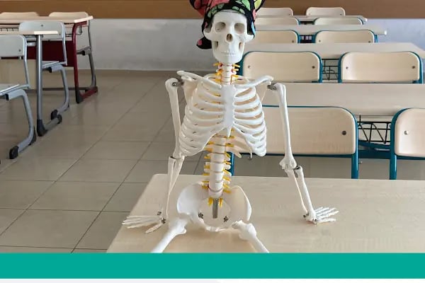 Uzm. Fzt. Berkay Tutar - Adana Skolyoz Merkezi - Resim 15