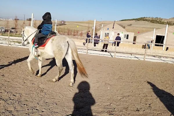 Altay At Çiftliği - Resim 2