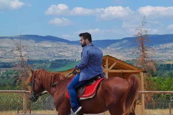 Altay At Çiftliği - Resim 15