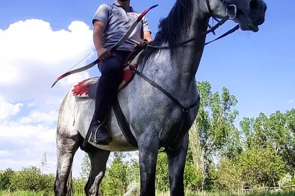 Altay At Çiftliği - Resim 12