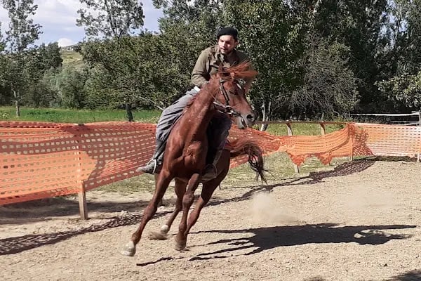 Altay At Çiftliği - Resim 8