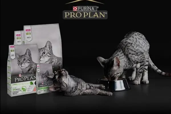 Saray Pet Club - Göksu AVM - Resim 9