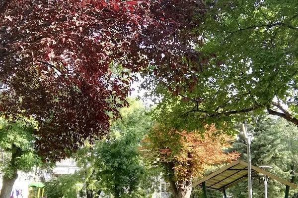 Hasan Esat Işık Parkı - Resim 13