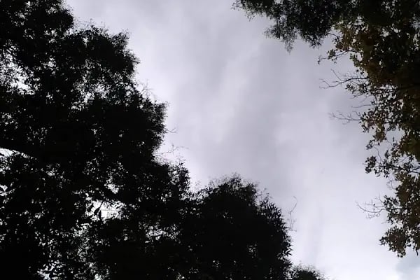 Hasan Esat Işık Parkı - Resim 17